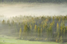 Slezské Beskydy – Lesy pod Ochodzitou